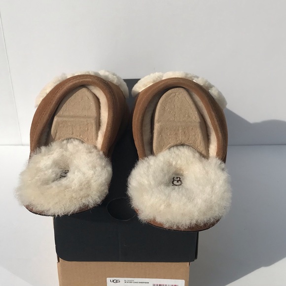 UGG Scuff UGG Sheepskin - Picture 4 of 7